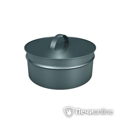 Заглушки Теплов и Сухов Заглушка ревизии Термо-Р 304 0.5 D220(120) в Звенигороде