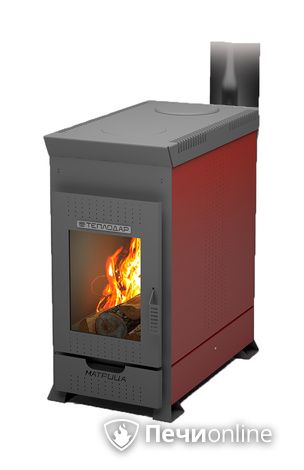 Печь буржуйка Теплодар Матрица -100  в Звенигороде