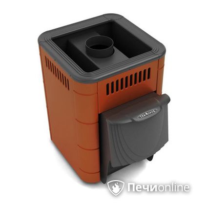 Дровяная банная печь TMF Оса Inox дверь антрацит короткий канал терракота в Звенигороде